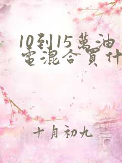 10到15万油电混合买什么车好