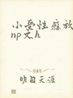 小受性瘾放荡的np文h 小受性瘾放荡的np文h