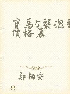 宝马5系混动 价格表