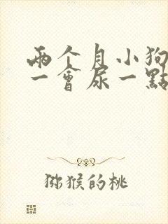 两个月小狗尿频一会尿一点