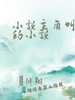 小说主角叫萧凡的小说