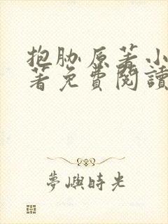 抱胁原著小说原著免费阅读