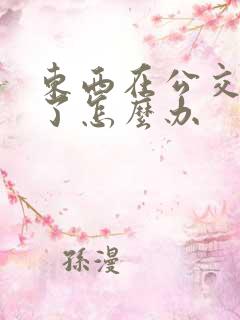 东西在公交车丢了怎么办