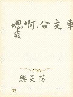 嗯啊,公交车,爽
