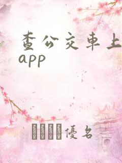 查公交车上什么app 查公交车上什么app