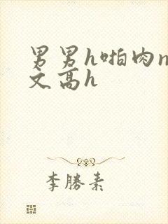 男男h啪肉np文高h