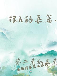 很h的长篇小说