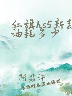 红旗hs5新款油耗多少
