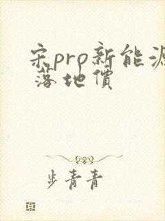 宋pro新能源 落地价 宋pro新能源 落地价