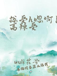 总受h嗯啊巨肉高辣受