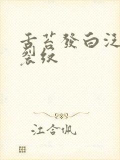 舌苔发白泛黄有裂纹