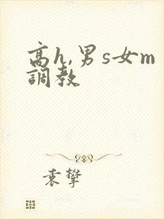 高h,男s女m调教