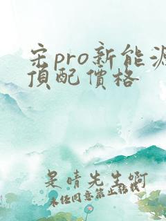 宋pro新能源顶配价格