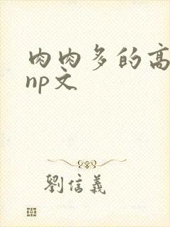 肉肉多的高h np文