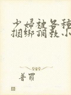 少妇被各种姿势捆绑调教小说