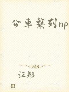 公车系列np