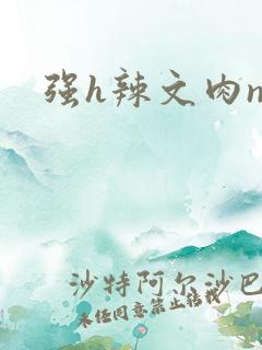强h辣文肉np