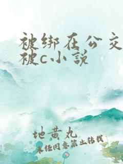 被绑在公交车里被c小说