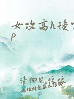 女攻高h后宫np 女攻高h后宫np
