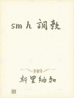 sm h 调教