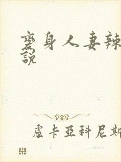变身人妻辣文小说