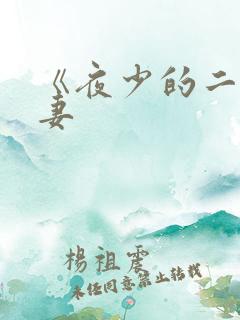 《夜少的二婚新妻 《夜少的二婚新妻