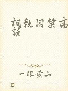 调教囚禁高h小说
