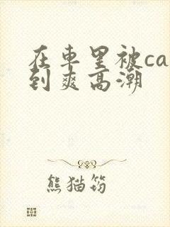 在车里被cao到爽高潮