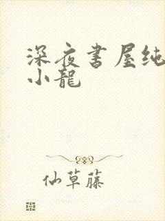 深夜书屋纯洁滴小龙