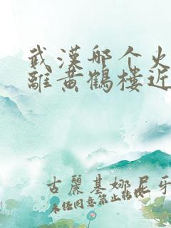 武汉哪个火车站离黄鹤楼近