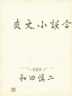 爽文小说合集
