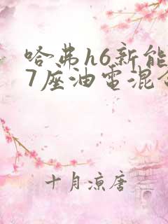 哈弗h6新能源7座油电混合商务车大全