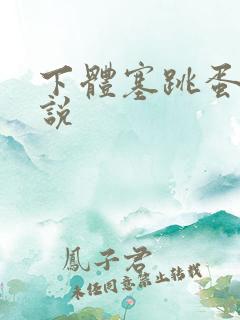 下体塞跳蛋的小说