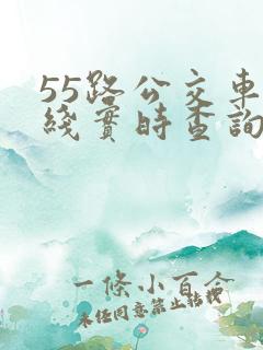 55路公交车路线实时查询 55路公交车路线实时查询