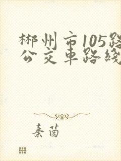 郴州市105路公交车路线图