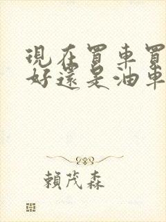 现在买车买电车好还是油车好