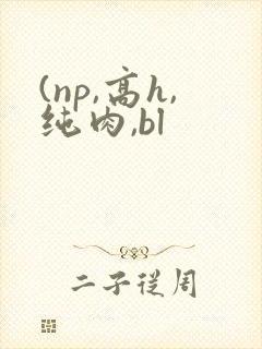 (np,高h,纯肉,bl
