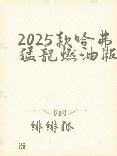 2025款哈弗猛龙燃油版