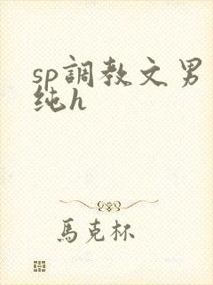 sp调教文男男纯h