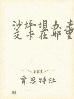 沙坪坝办老年公交卡在哪里 沙坪坝办老年公交卡在哪里