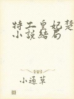 特工皇妃楚乔传小说结局 特工皇妃楚乔传小说结局