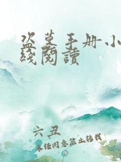 盗墓手册小说在线阅读