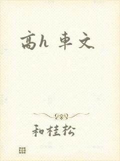 高h 车文