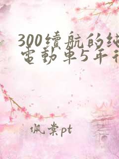 300续航的纯电动车5年后