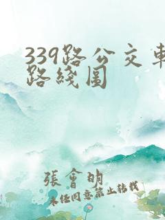 339路公交车路线图