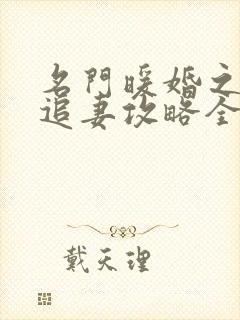 名门暖婚之权爷追妻攻略全文阅读