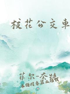 校花公交车小说