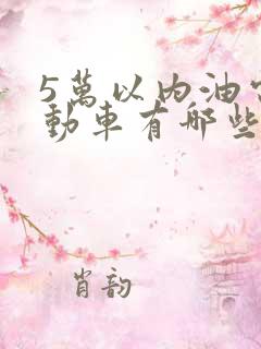 5万以内油电混动车有哪些