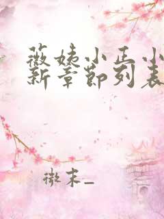 薇姨小正小说最新章节列表