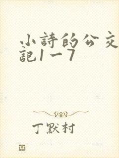小诗的公交车日记1一7